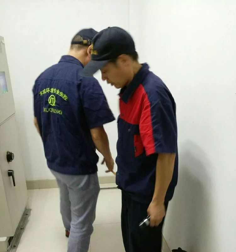 散白蚁防治