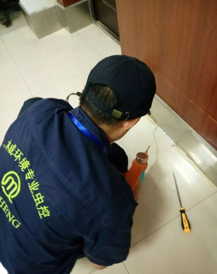 对白蚁路电动打粉机灭治白蚁.jpg